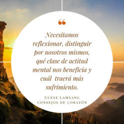 Frase 617E1042-D52A-4911-87CB-FBFE14608B08
