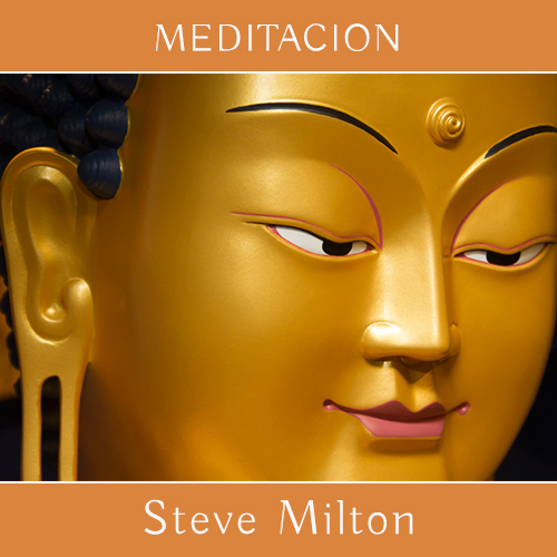 Meditacion Calendario Web