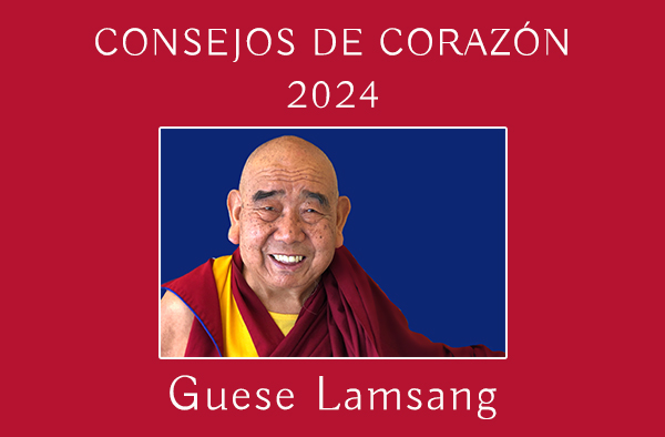 CONSEJOS DE CORAZÓN 2024