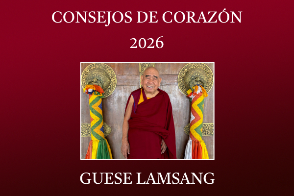 Enseñanzas Consejos de Corazón 2026