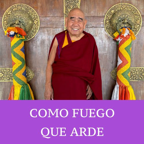COMO FUEGO QUE ARDE