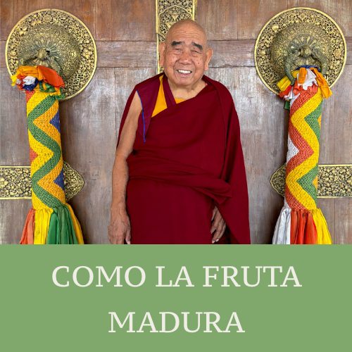 COMO LA FRUTA MADURA