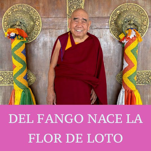 DEL FANGO NACE LA FLOR DE LOTO