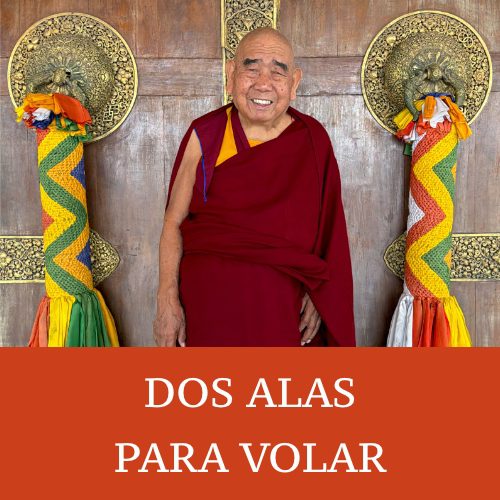 DOS ALAS PARA VOLAR