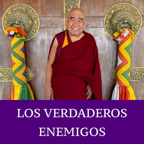 LOS VERDADEROS ENEMIGOS