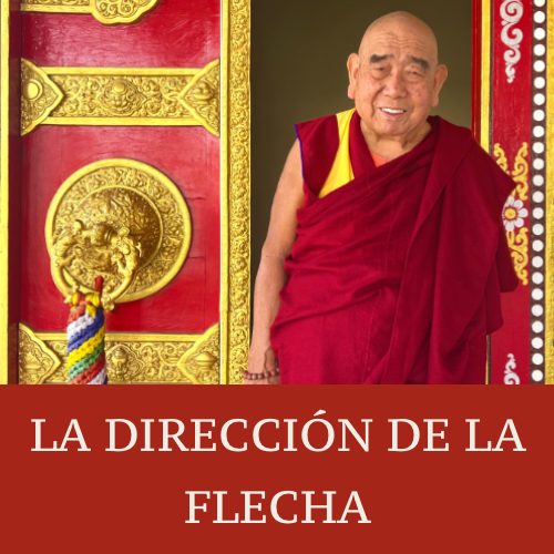LA DIRECCIÓN DE LA FLECHA