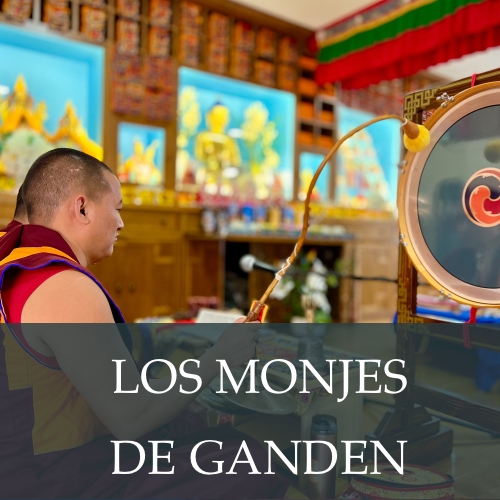 Lama Zopa Rimpoché con su inmensa compasión nos esta acompañando durante esta crisis mundial dándonos enseñanzas extensas y profundas.