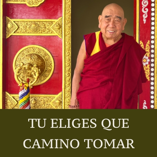 TU ELIGES QUE CAMINO TOMAR