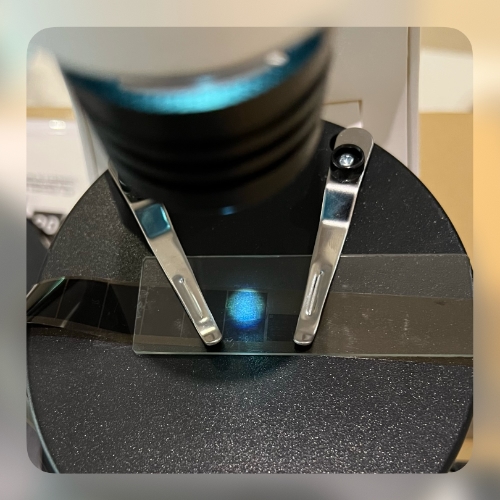 5.microscope